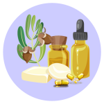Categories-11